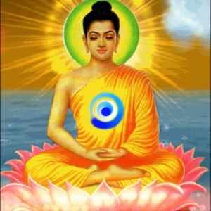 Meet your Posher, Tiffany jane